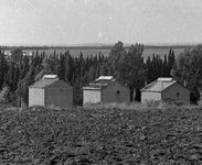 בתי הטבק - גידלנו והכנו לשוק.