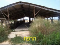 הרפת