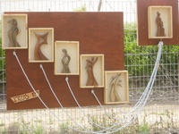 מתוך "פסטיבל הגדר" 2012 של היישוב