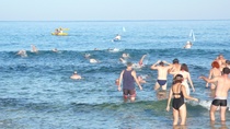 משחה גשר הזיו, 2009