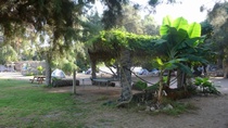 משחה גשר הזיו, 2009