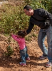 65ע''י אלי דינור