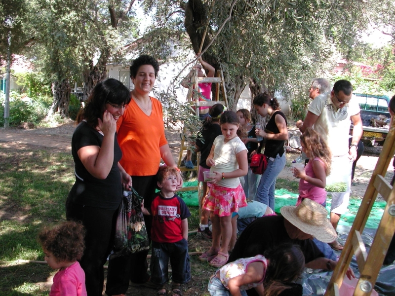    - 2006