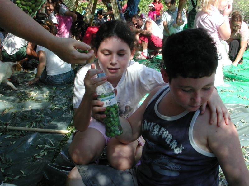    - 2006