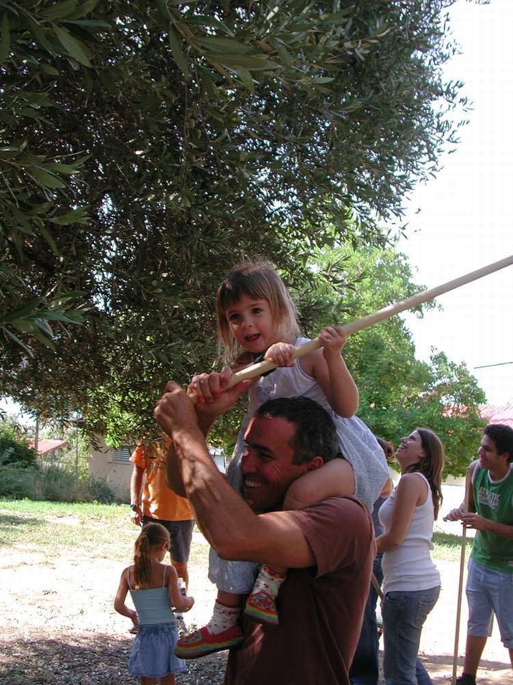    - 2006