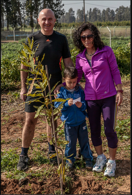 36ע''י אלי דינור