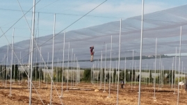 'מרחף באוויר' ע'י מיה רוטמן