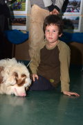 MWP_3682-1