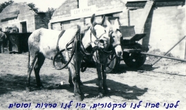 2. העבר של הקיבוץ - ימי בראשית בשחור-לבן