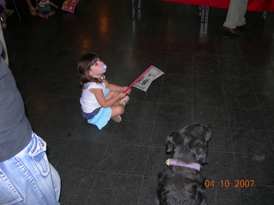   2007
