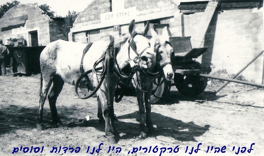 תחבורה