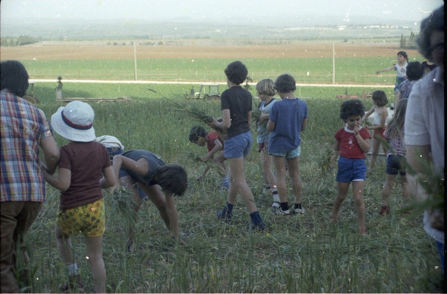 פסח 1980