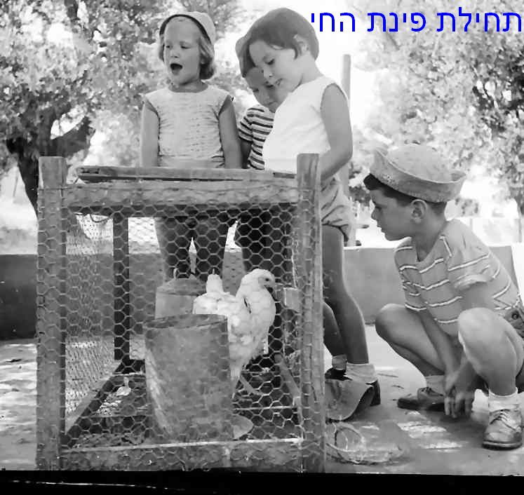 3. מהעבר של היישוב - ילדים של פעם בנוף הקיבוץ