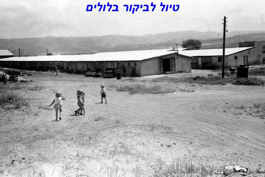 3. מהעבר של היישוב - ילדים של פעם בנוף הקיבוץ