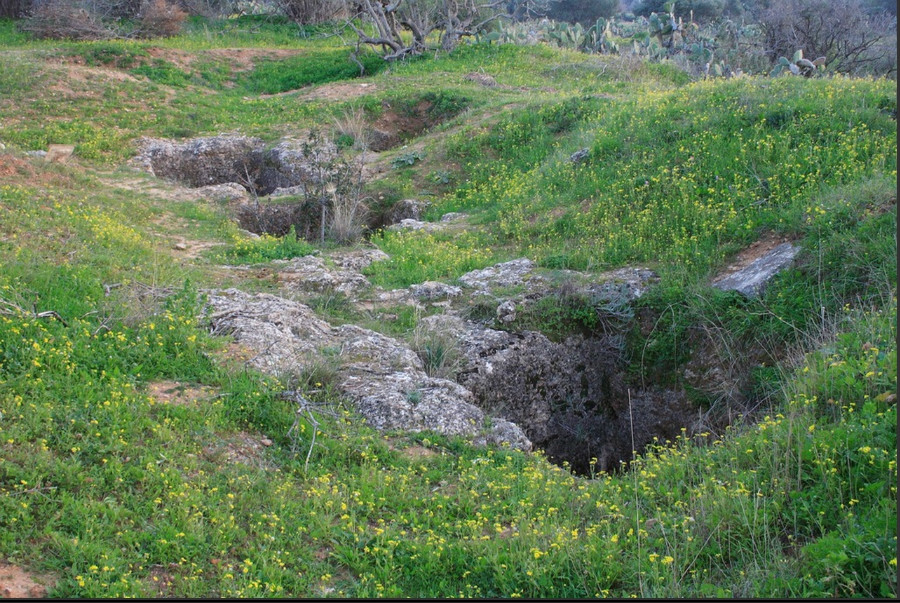 אלי דינור - קברים כנעניים