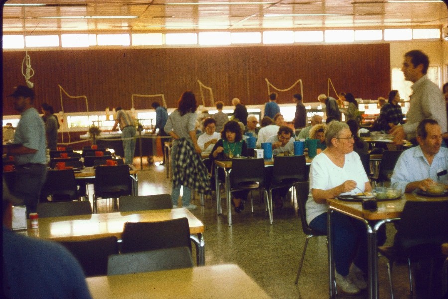 67   