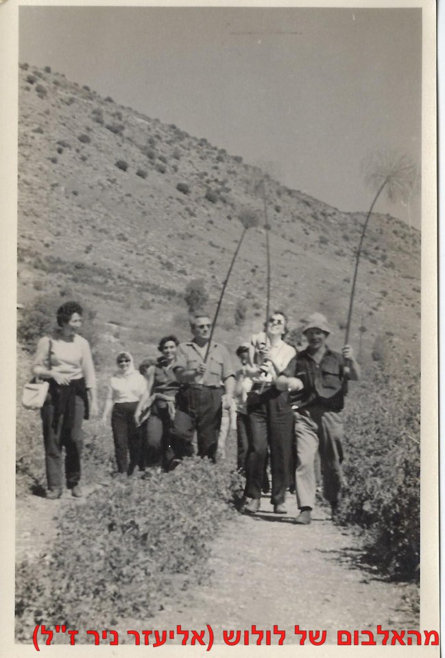 1961  טיול משק