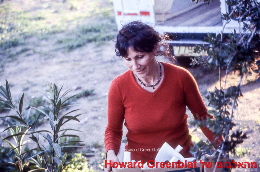 Howard Greenblatt photos071    