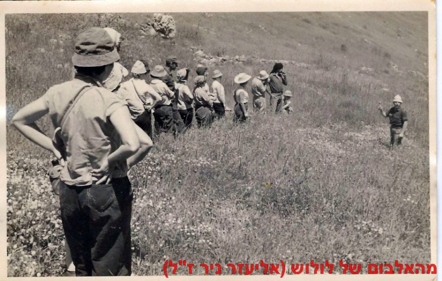   1961   