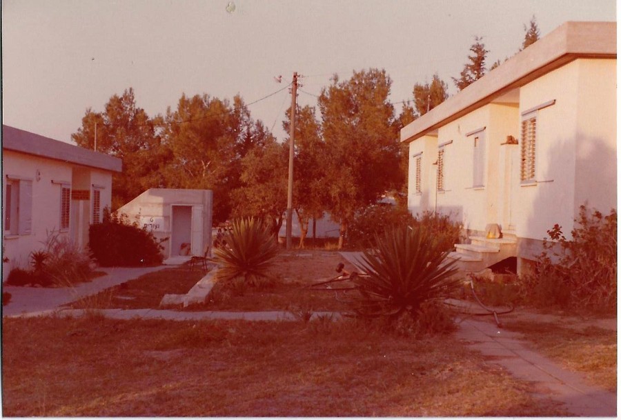   1979