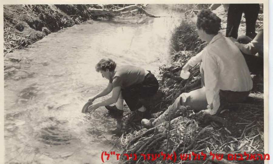     1961