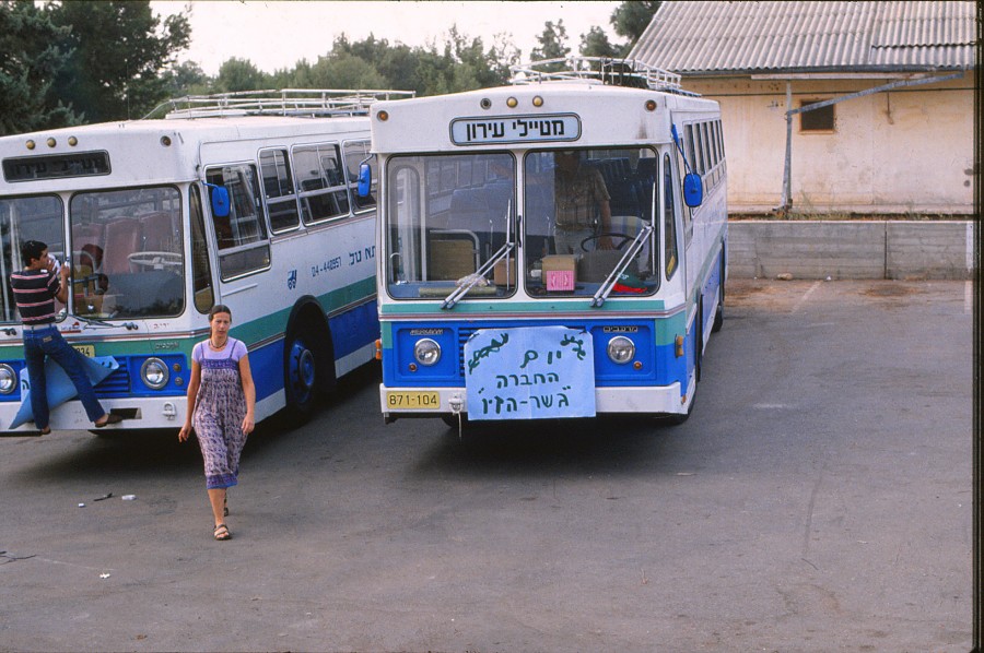 יום החברה 1981