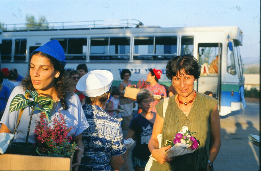   1981     
