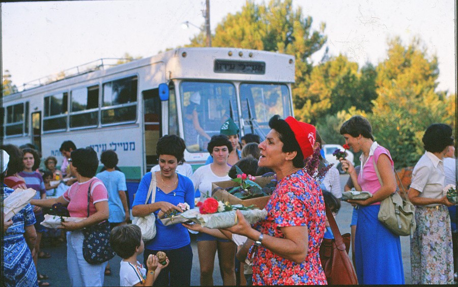 יום החברה 1981