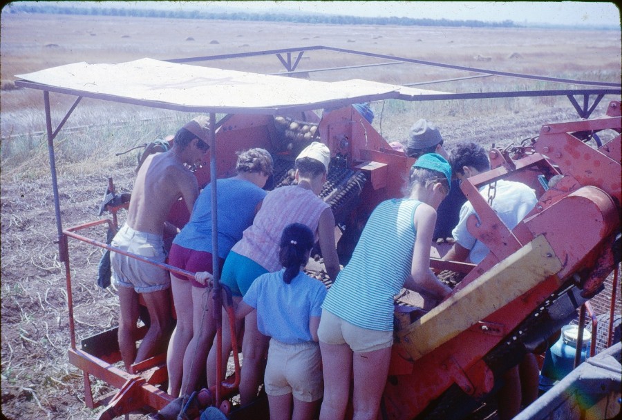   1968IMG_0004