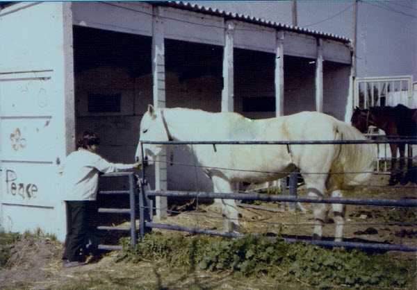 פינת חי 76-77 52.43