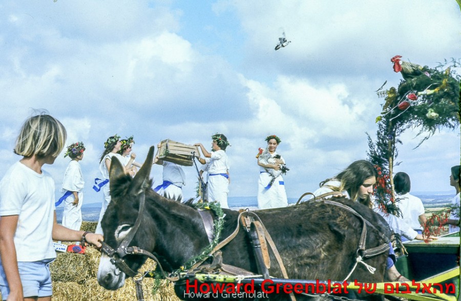 Howard Greenblatt photos030   
