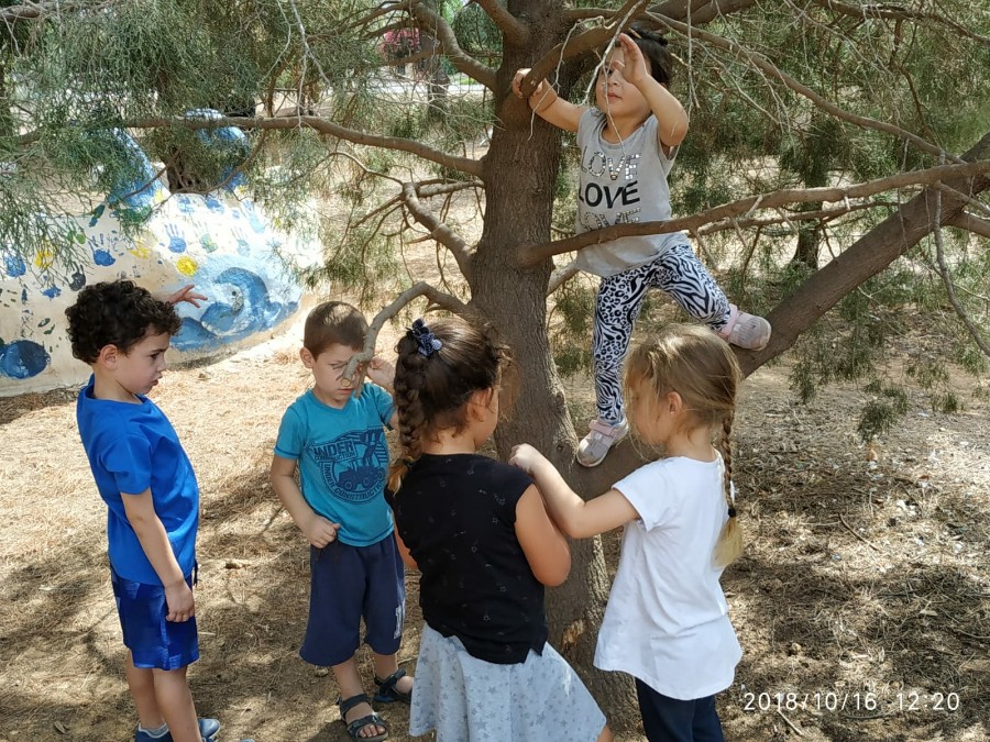 גן רותם בחורשת הידידות