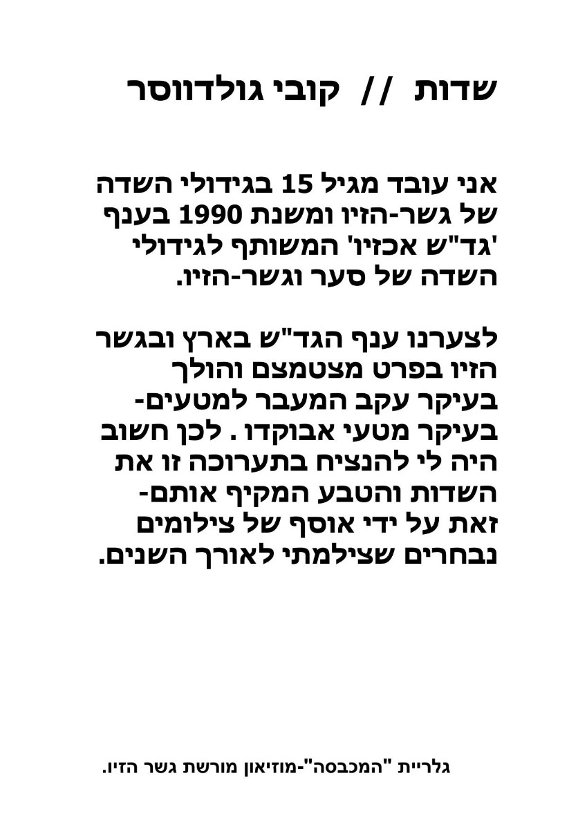 פרטים תערוכה קובי והווי