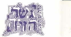 10 שנת 1995(1)