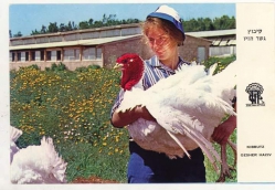 8 _אוחזת בתרנגול ההודו - אחותה של מרג'י, אילנה קובן (עטיה)