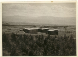 arava_26 שטח הלולים 1945