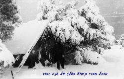 אוהל בשלג 1951