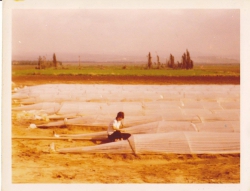 fr Cheryl Fehlberg 1974 Shnat  Australia. First day of work on the kibbutz in tomatoes