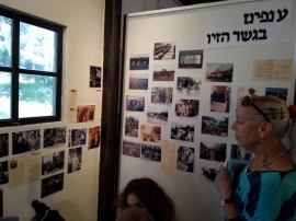 עידית רז