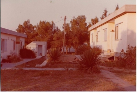 בתי נעורים 1979