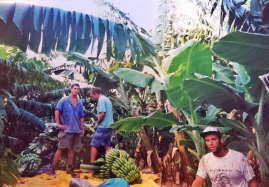 fr Ami Toben the 90s בננות עם עמי טובן שנות 90