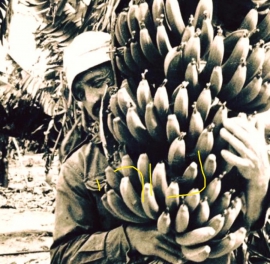 נורי 1975 בבננות