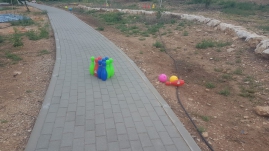 מרוץ גשר הזיו 27.4.19(41 תמונות)