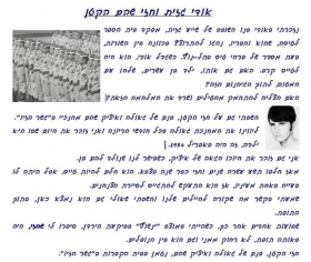 חזי שהם