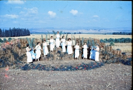 שבועות 1964 2