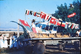 שבועות 1964
