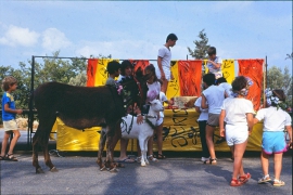 IMG_0004 (2)