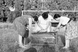 שבועות 1968 6